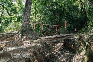 BIB: 
                            <button type="button" onclick="openModal(27800715)" class="btn btn-primary btn-sm float-right btn-popup" data-toggle="modal" data-target=".modal-high-quality">
                        <i class="fas fa-shopping-cart"></i> Add to Cart
                    </button>
                                            <button type="button" onclick="isThisMe(27800715, true)" class="btn btn-success btn-sm float-right btn-popup btn-isme hidden" data-toggle="tooltip" data-placement="bottom" title="นี่คือรูปของคุณใช่ไหม คลิกที่นี่เพื่อเอาเข้าอัลบั้ม">
                        <i class="fas fa-plus"></i> Add to album
                    </button>
                    <button type="button" onclick="isThisMe(27800715, false)" class="btn btn-warning btn-sm float-right btn-popup btn-isnotme hidden">
                        <i class="fas fa-ban"></i> Remove from album
                    </button>